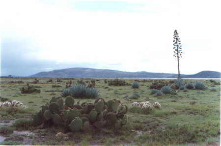 Llano de El Carmen Tequexquitla